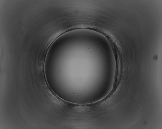 X0000091681185200708301514