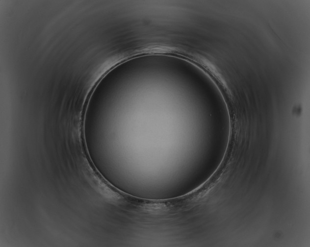 X0000091681186200708301514