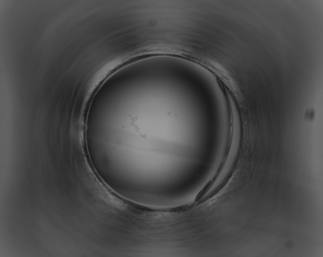 X0000091681188200708301514