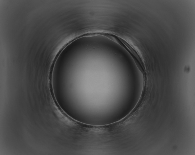 X0000091681189200708301514