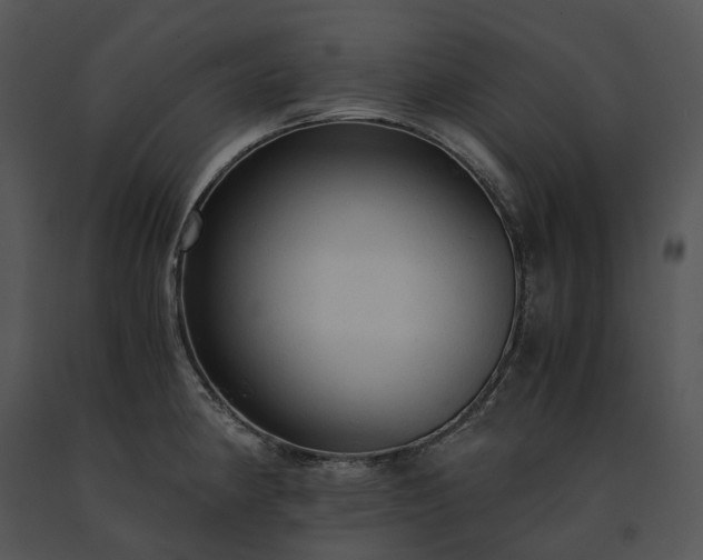 X0000091681190200708301514