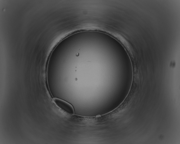 X0000091681191200708301514
