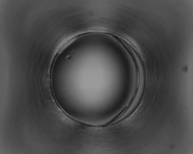 X0000091681192200708301514