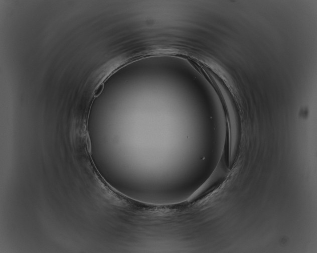 X0000091681193200708301514