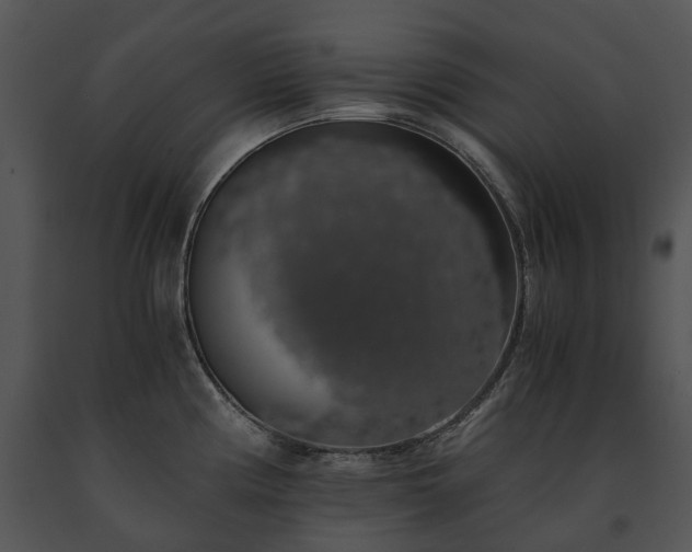 X0000091681194200708301514