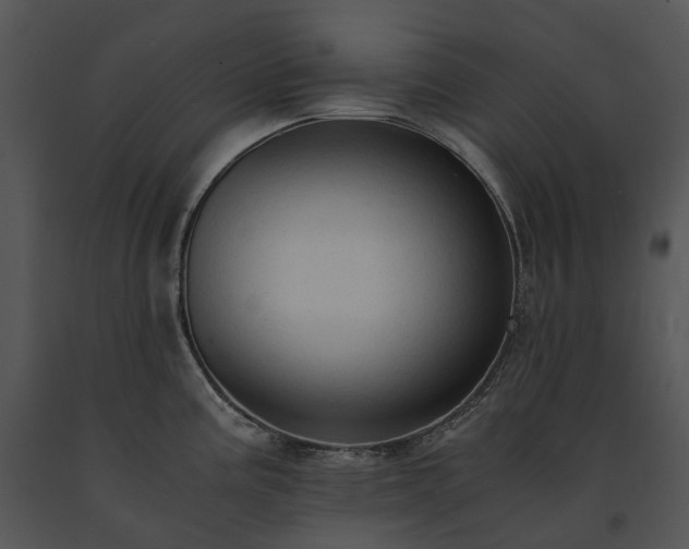 X0000091681195200708301514
