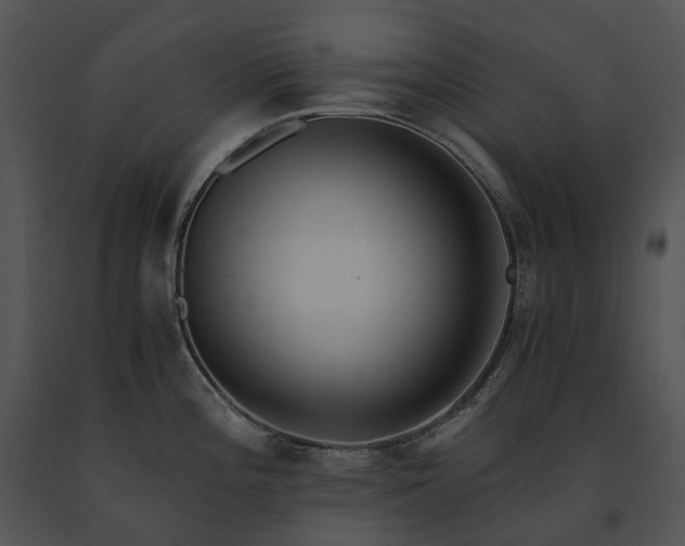 X0000091681196200708301514