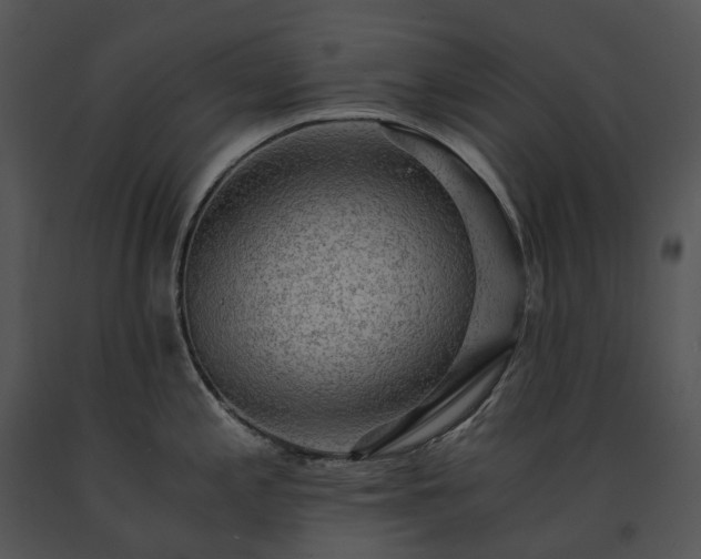 X0000091681197200708301514