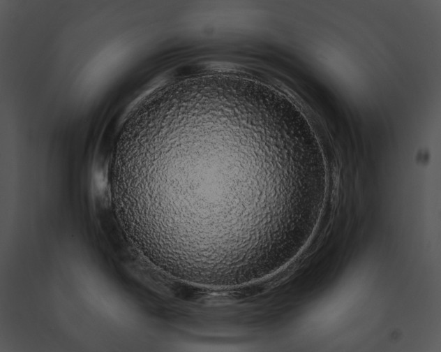 X0000091681198200708301514
