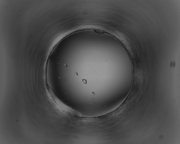 X0000091681199200708301514