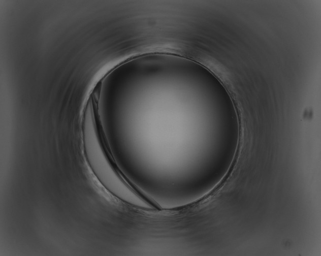 X0000091681200200708301514