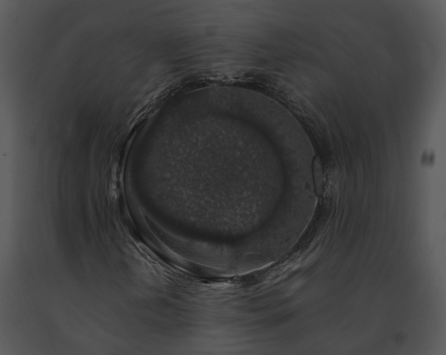 X0000091681202200708301513