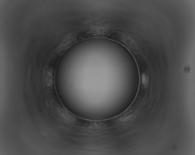 X0000091681203200708301513
