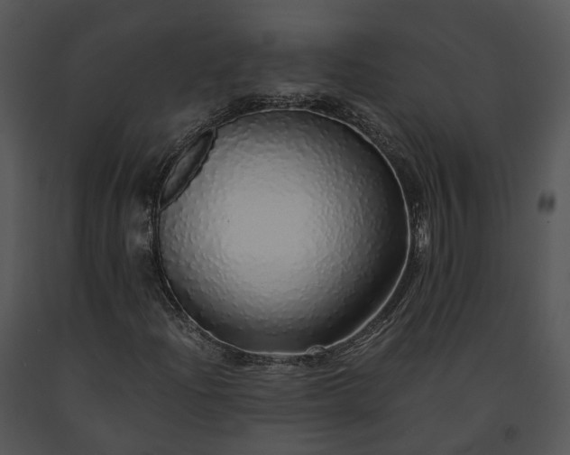 X0000091681204200708301513