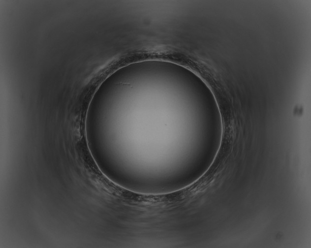 X0000091681205200708301513
