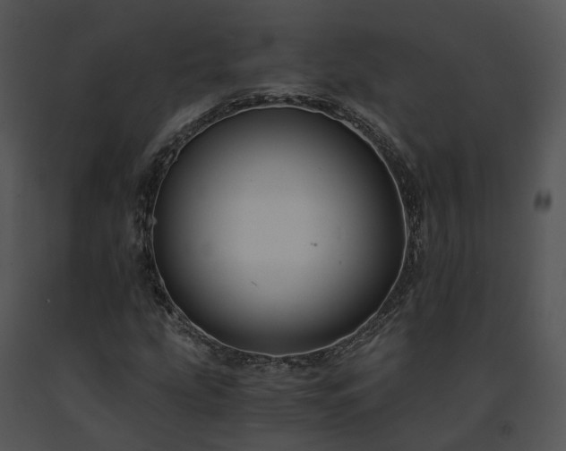 X0000091681207200708301513