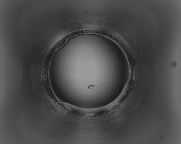 X0000091681208200708301513