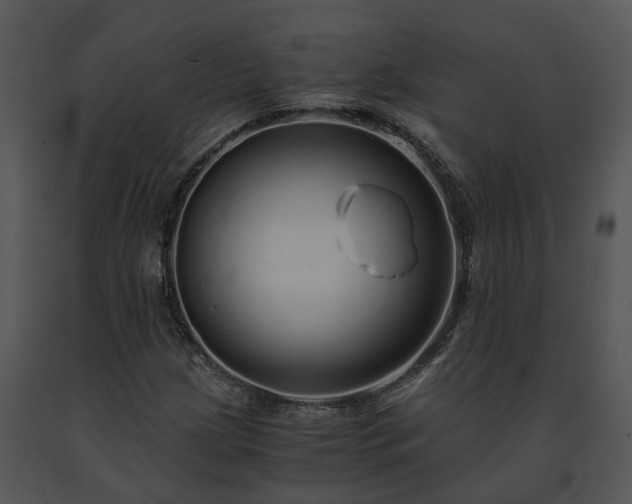 X0000091681209200708301513