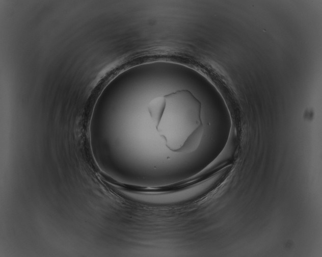 X0000091681210200708301513