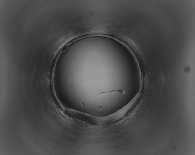 X0000091681212200708301513