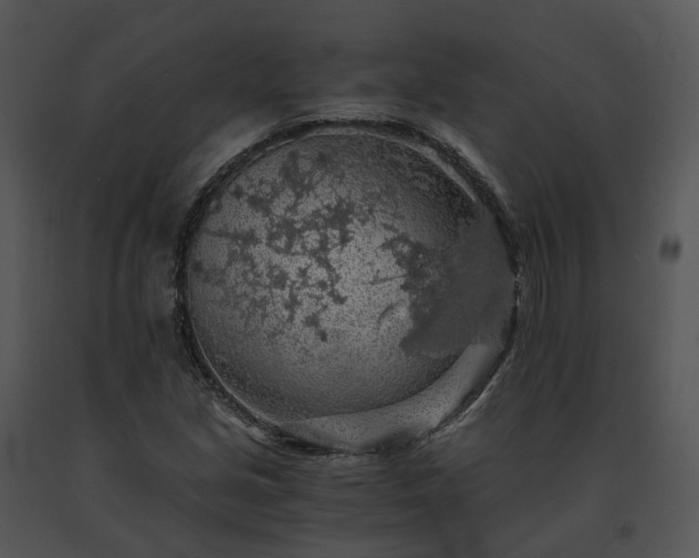 X0000091681213200708301513