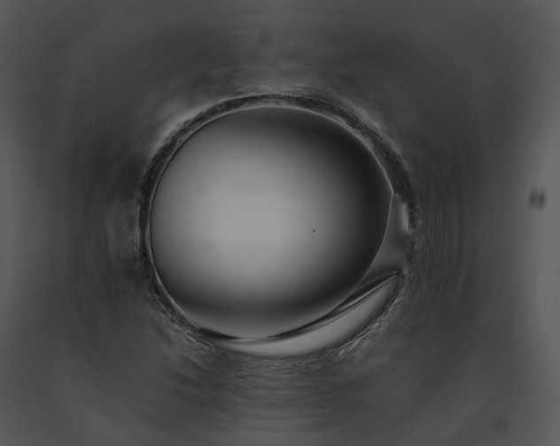 X0000091681214200708301513