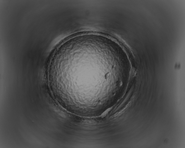 X0000091681215200708301513