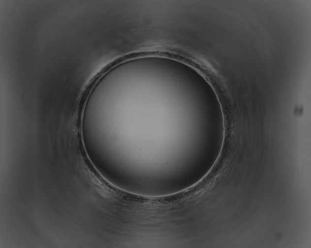 X0000091681216200708301513