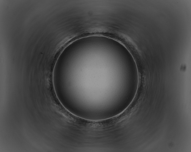 X0000091681217200708301513