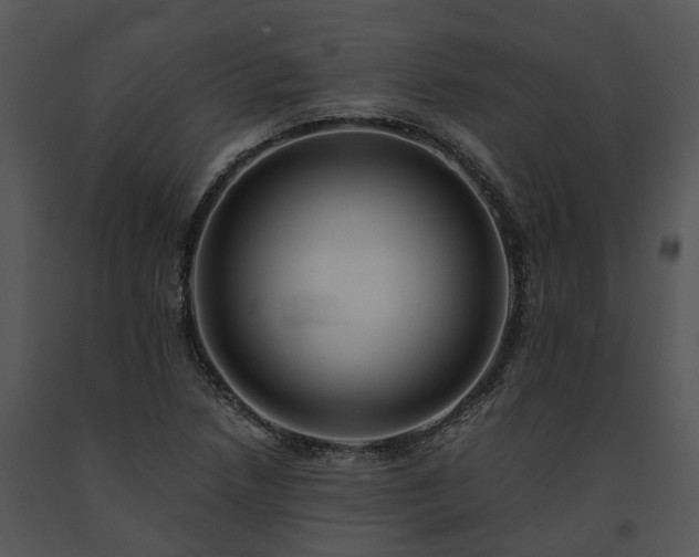 X0000091681218200708301513