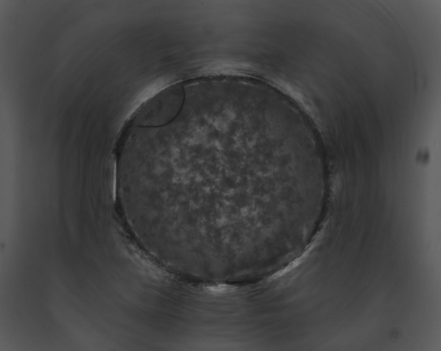 X0000091681219200708301513