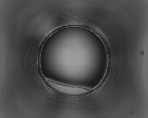 X0000091681220200708301513