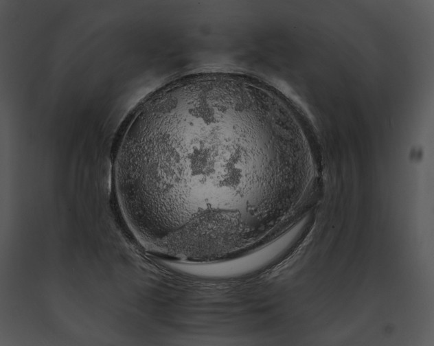 X0000091681221200708301513