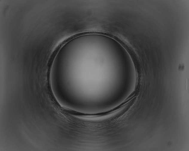 X0000091681222200708301513