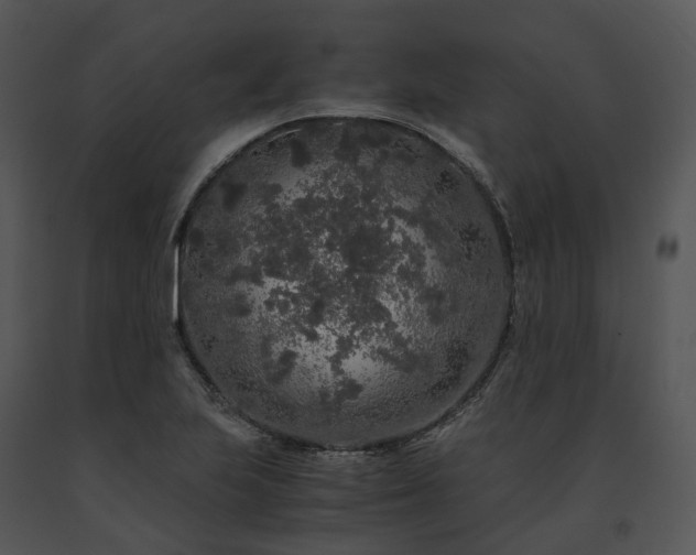 X0000091681223200708301513