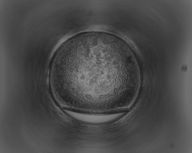 X0000091681224200708301513