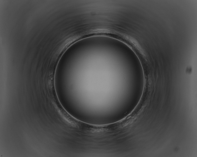 X0000091681225200708301513