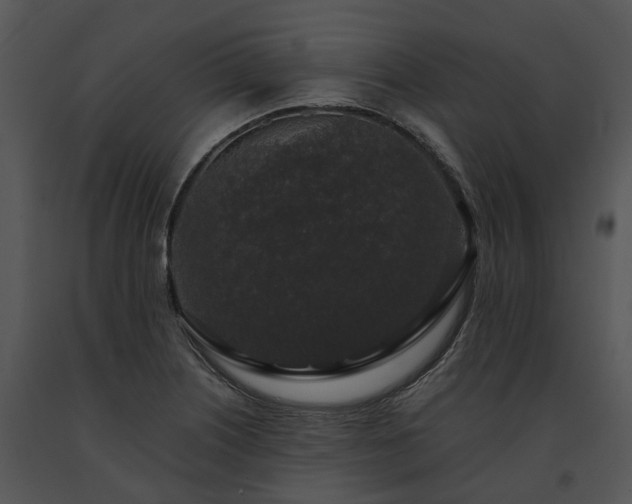 X0000091681226200708301513