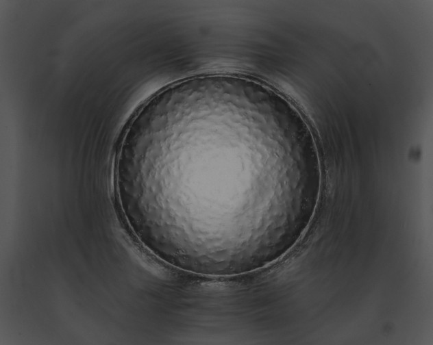 X0000091681227200708301513