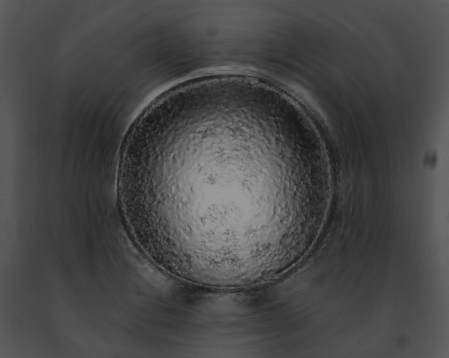 X0000091681228200708301513