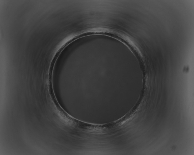 X0000091681229200708301513
