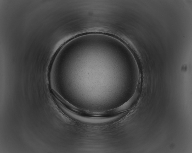 X0000091681230200708301513