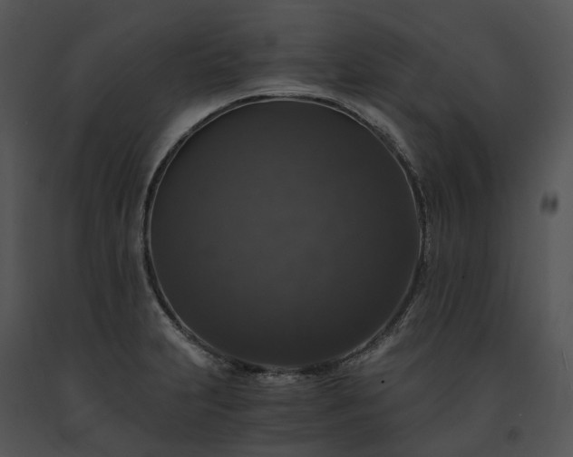 X0000091681231200708301513