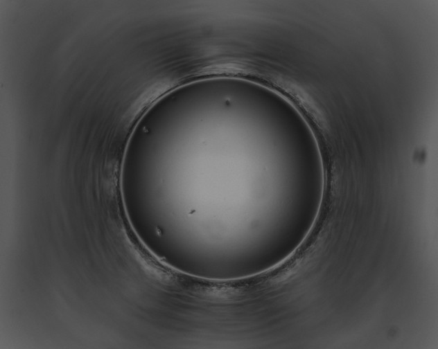 X0000091681233200708301513
