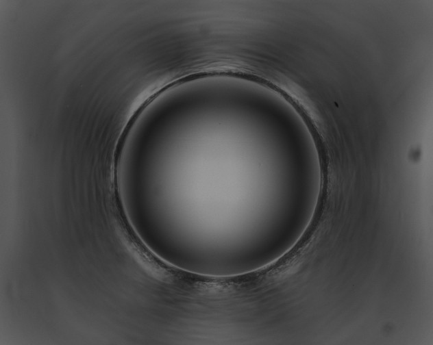 X0000091681234200708301513