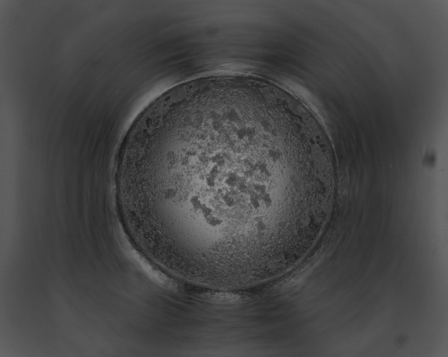 X0000091681235200708301513