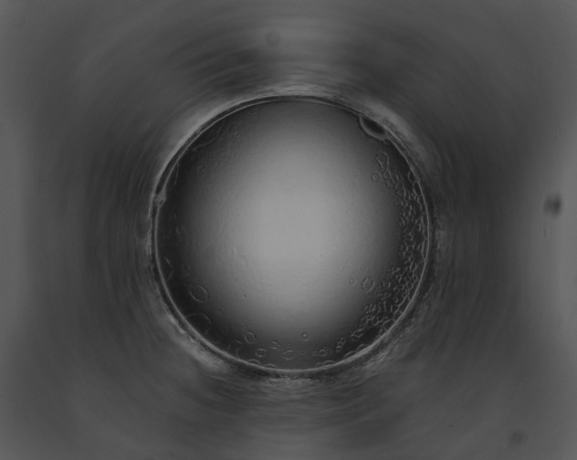 X0000091681236200708301513