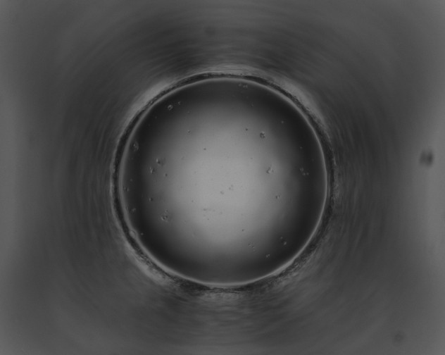 X0000091681237200708301513