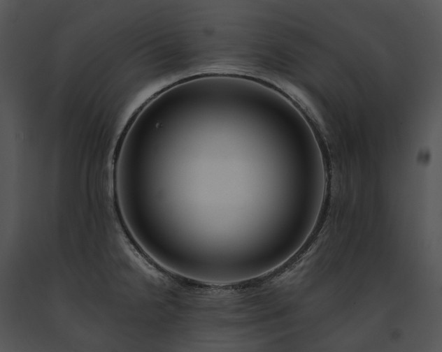 X0000091681238200708301513