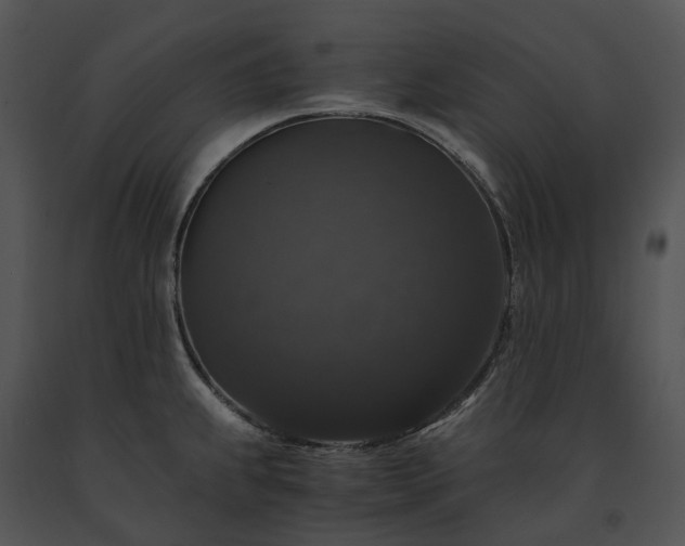 X0000091681239200708301513